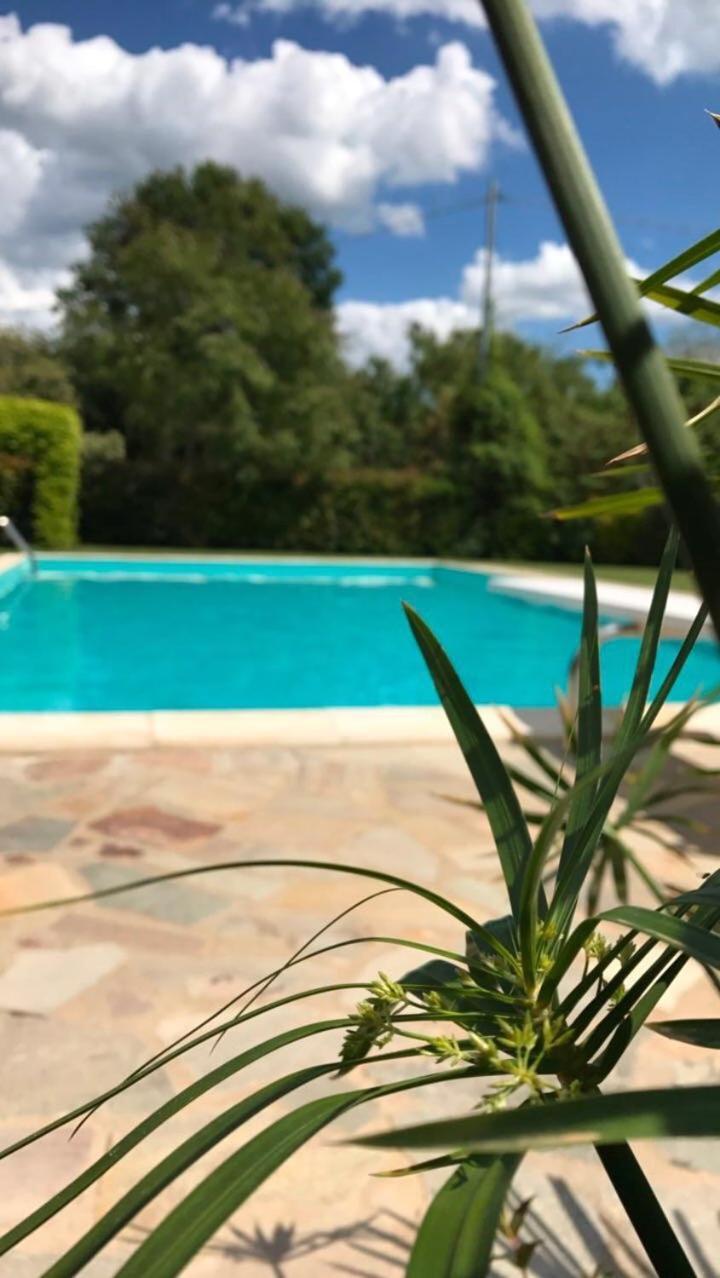 Borgo Di Sotto, Il Mulino *